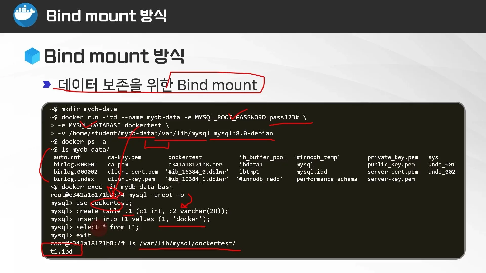 Bind mount로 MySQL 데이터 보존하기