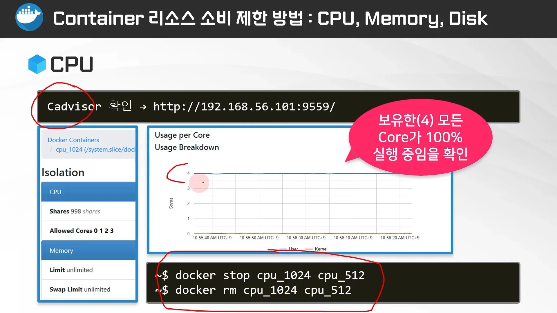 cAdvisor로 CPU 사용 제한 확인