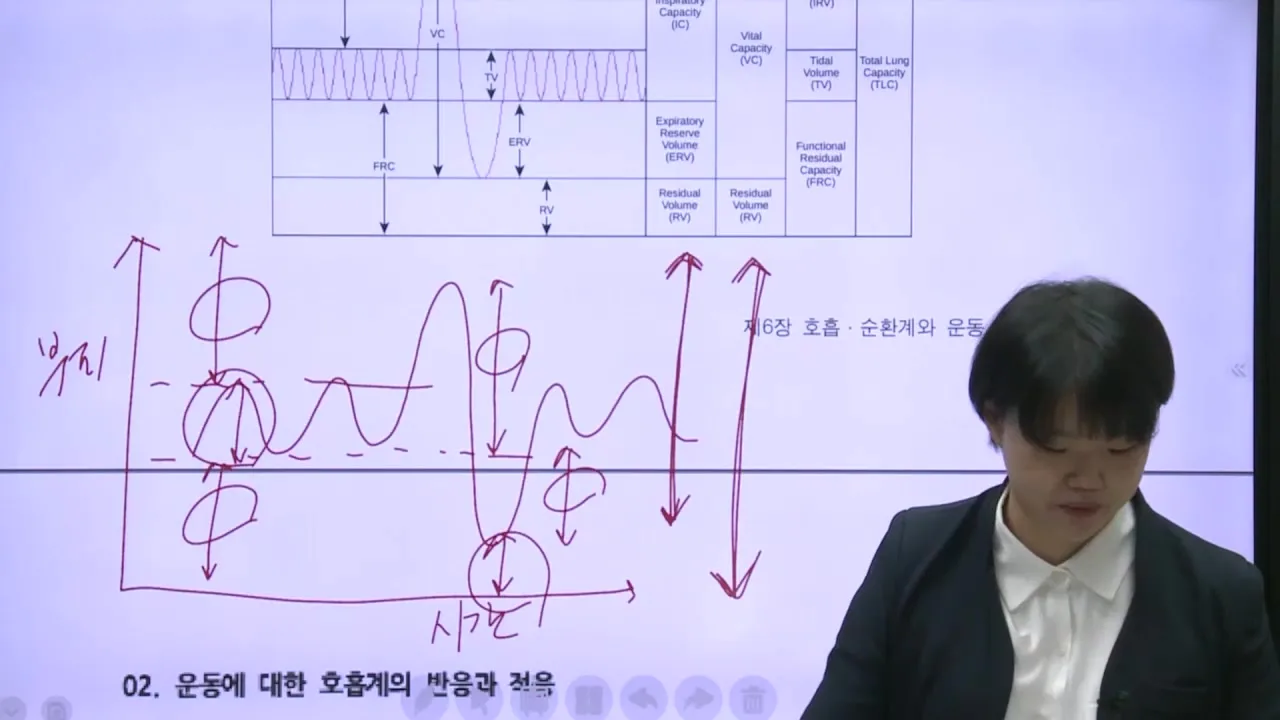 호흡 그래프로 보는 폐용적·폐용량